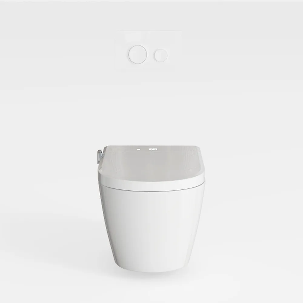 Smart Toilet with Bidet Built in, Luxury One Piece