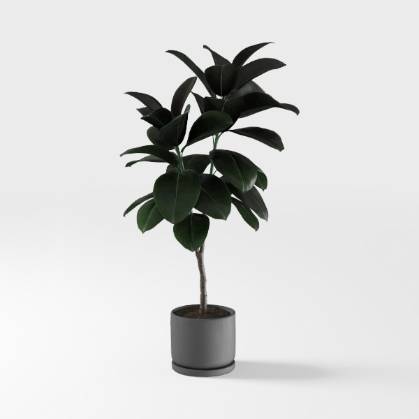 Metropolitan-plant.max