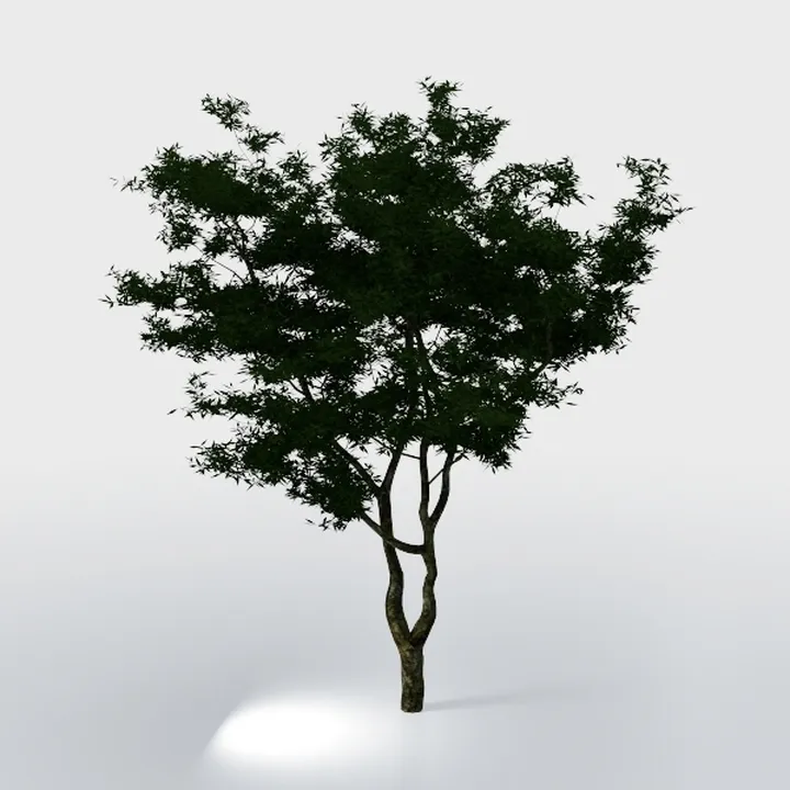 Realead Faux Olive Tree 7ft - Realistic Tall Silk
