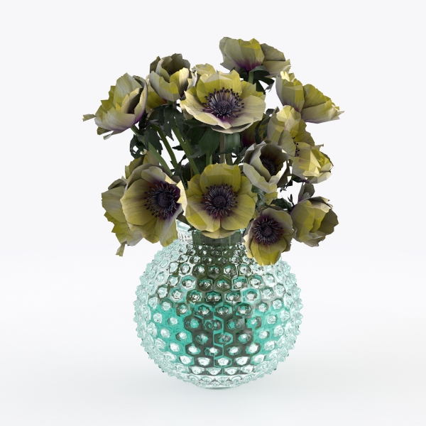 Costa Farms Fiddle Leaf Fig Tree Live Plant
