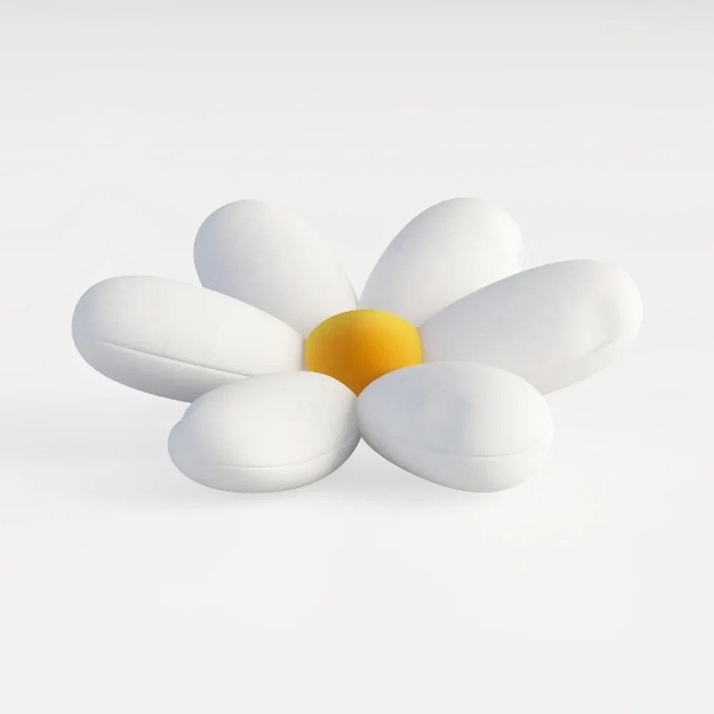 Zippered Pillowcases - Standard Size 26x20, 100%