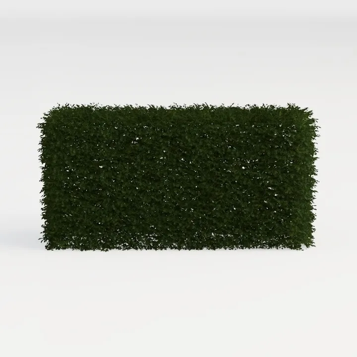 hedge-Cozy Garden Bush & Hedge