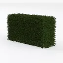 hedge-Cozy Garden Bush & Hedge Left 45 Degree View