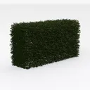 hedge-Cozy Garden Bush & Hedge Right 45 Degree View