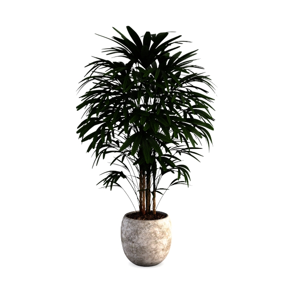 plant Artificial Ficus Tree 6ft in Pot Fake Silk
