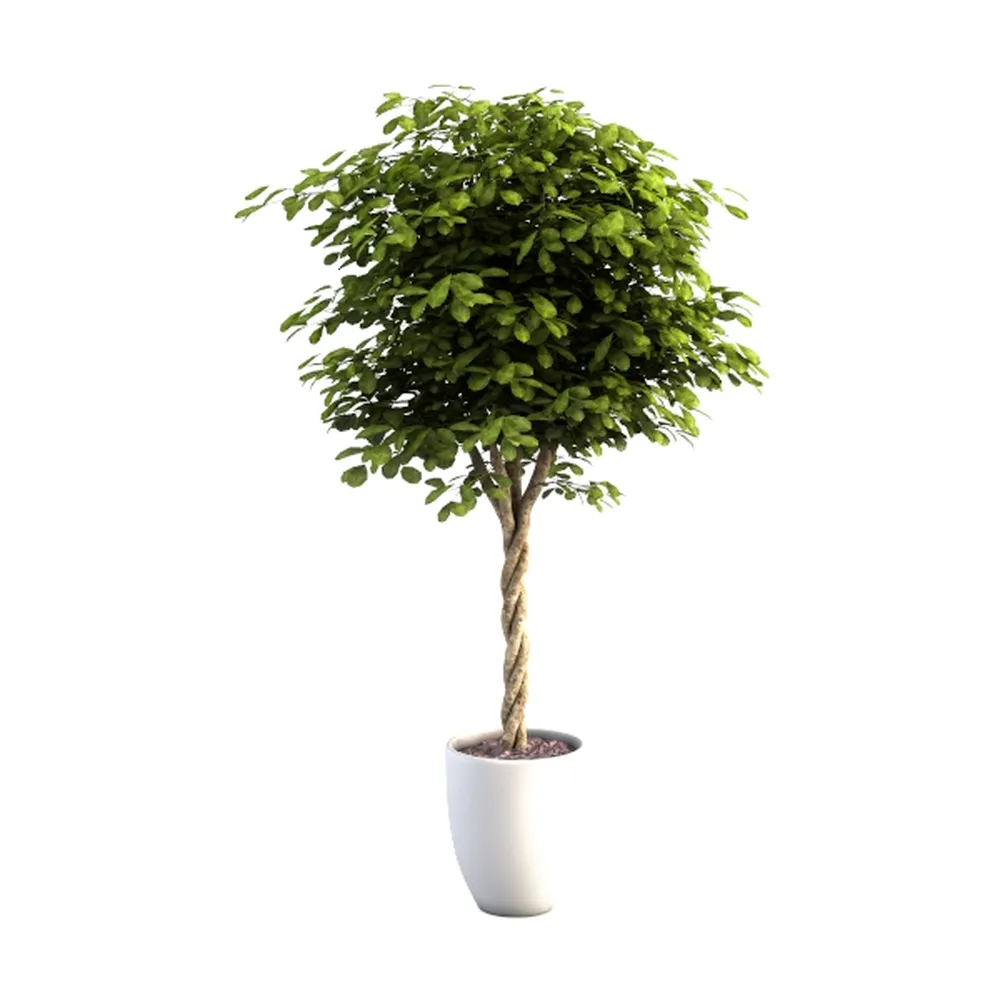 Artificial Dracaena Tree 5FT - Fake Tree with