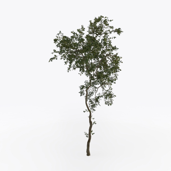 Realead 8ft Tall Faux Olive Tree - Realistic