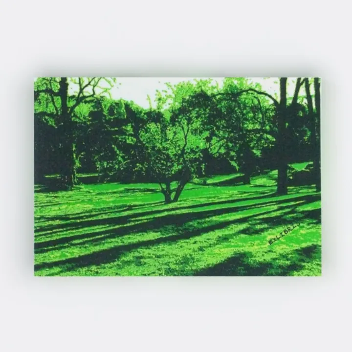 Canvas Art Decor Morning Sunrise Green Trees