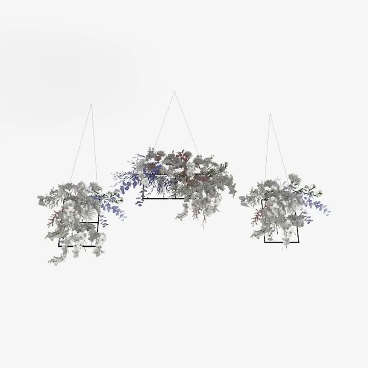 hanging plant-Botanical Home