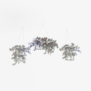 hanging plant-Botanical Home