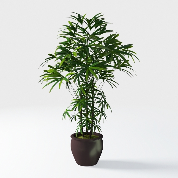 4ft Artificial Ficus Tree with Natural Wood Trunk,