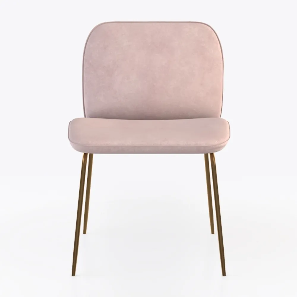 Velvet Dining Chairs, Furniture Collection Modern