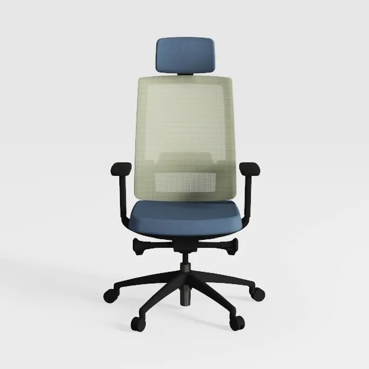 Ergonomic Mesh Office Chair with Lumbar Support