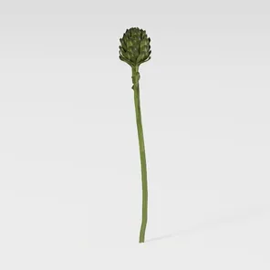 model review img 3