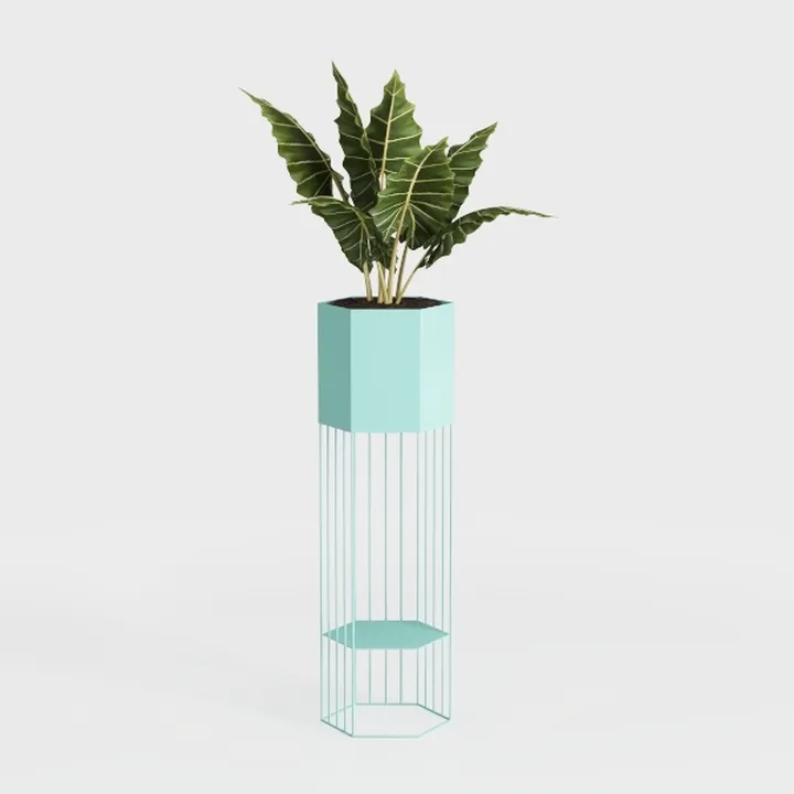 plant ornament-Lively Spectrum