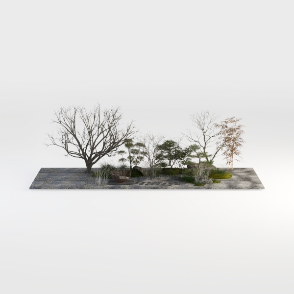 landscape-Outdoor Odyssey