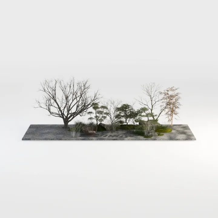 landscape-Outdoor Odyssey