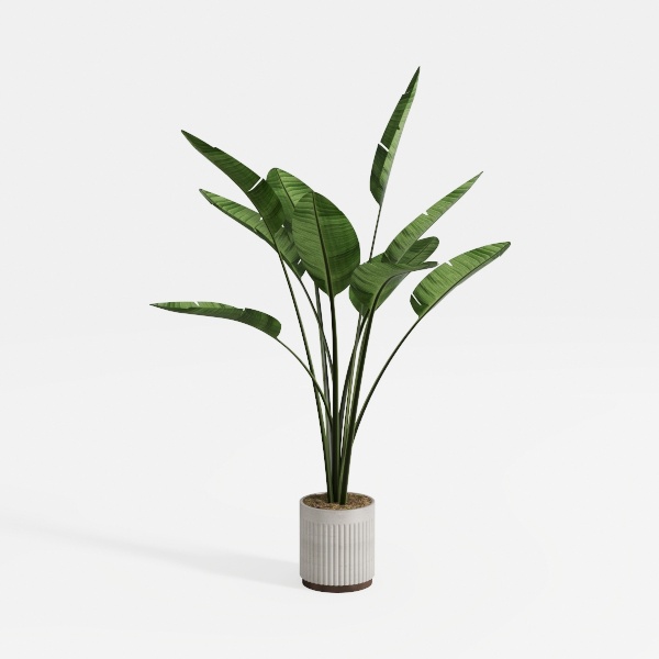 5.3FT Artificial Yucca Tree Faux Agave Plant