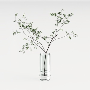 Minimalist Clear Glass Tabletop Vase With Green Branches 3D Model