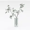 null Right 45 Degree View