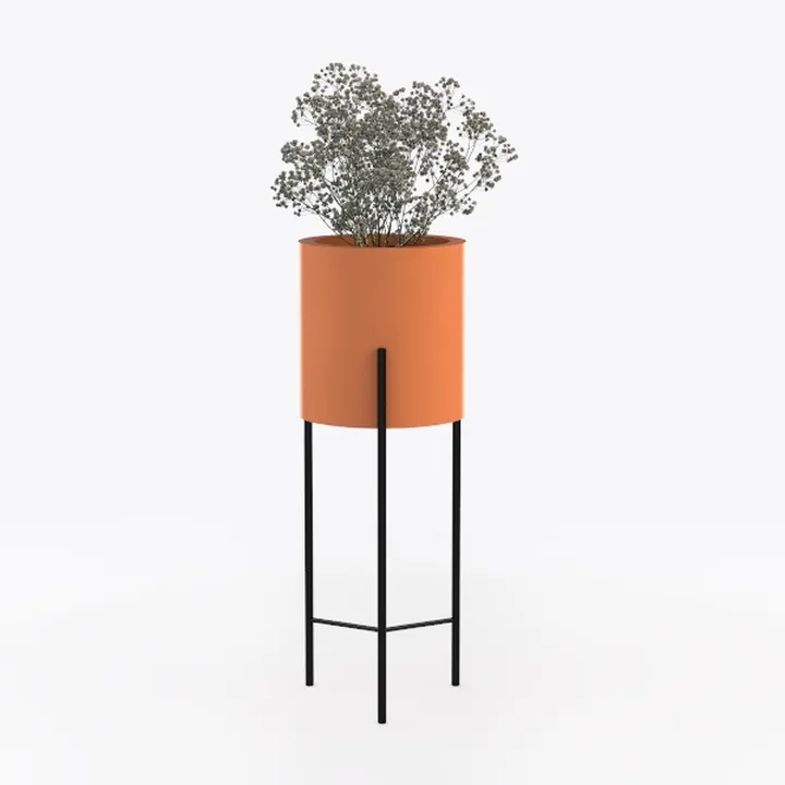 plant-Autumn