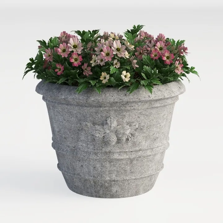 planter box- Outdoor Planters & Plants