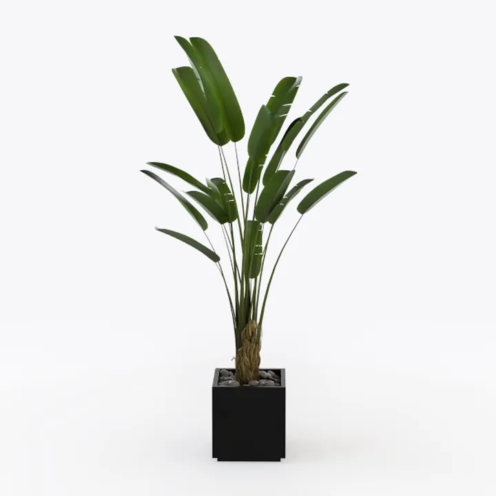 Minimalist Faux Potted Travellers Palm Plant 3D Model