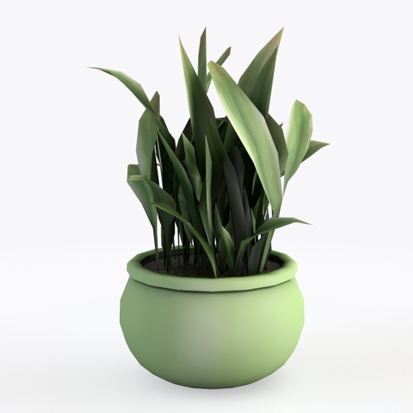 Snake plant in a green vase
