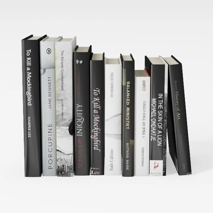 books-Minimalist Elegance