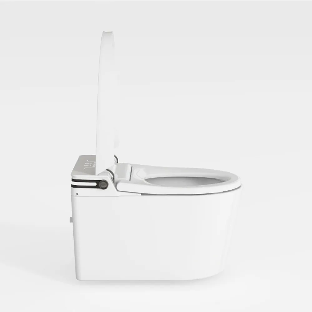 Smart Toilet with Bidet Built In, One Piece