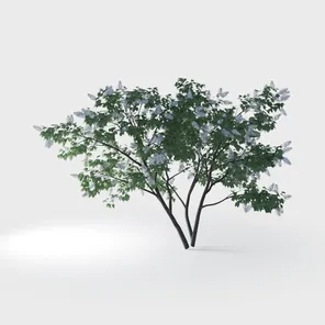 model review img 1