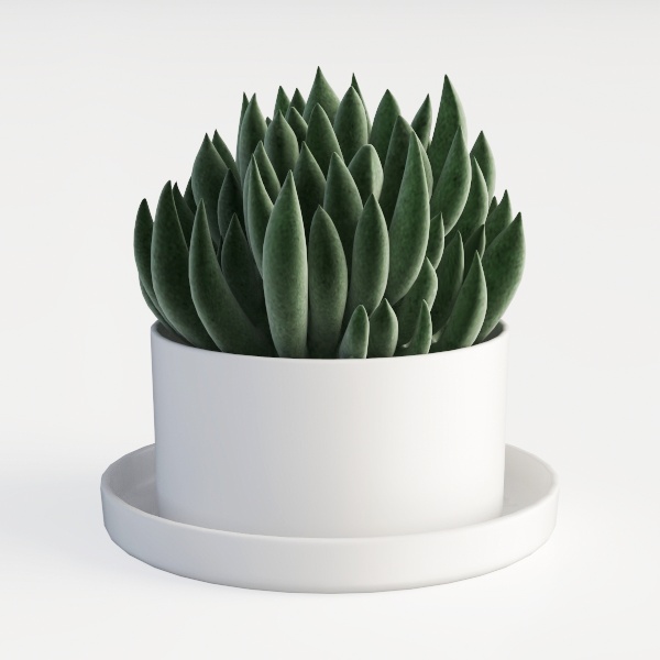 Smart Flowerpots,Smart Pet Planter,Ai Planter,Inte