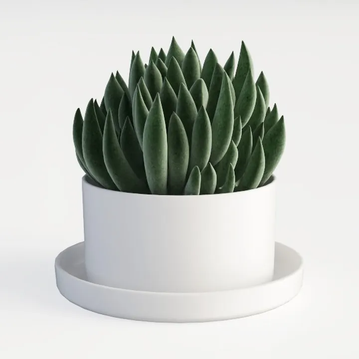 Smart Flowerpots,Smart Pet Planter,Ai Planter,Inte