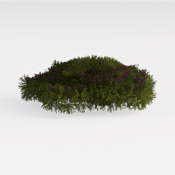 plant-Escape to Nature