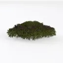 plant-Escape to Nature Left 45 Degree View