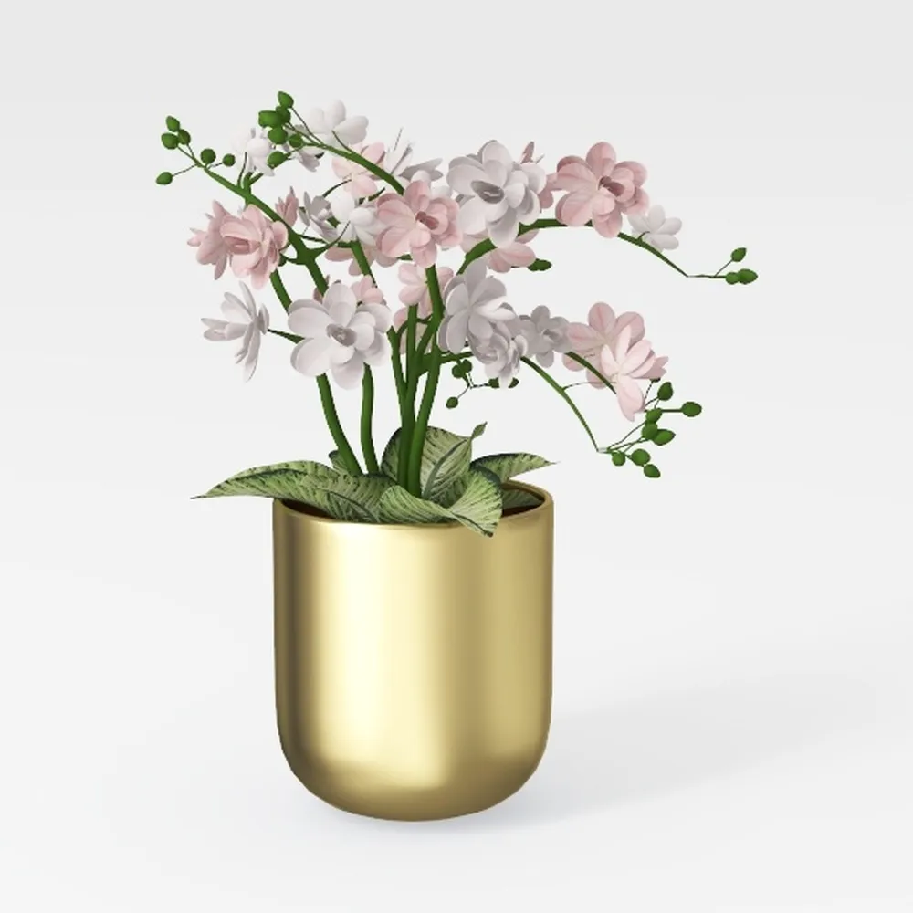 Vixdonos Large Gold Planters Metal Aloe Brass-Tone
