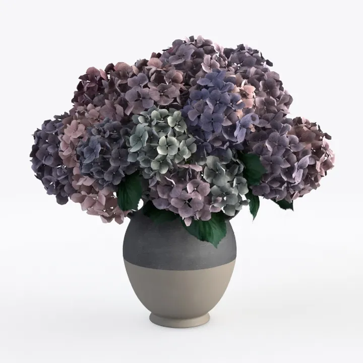 Two Tone Ceramic Vase With Dried Hydrangea Floral Arrangement 3D Model