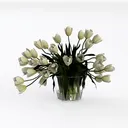 null Left 45 Degree View