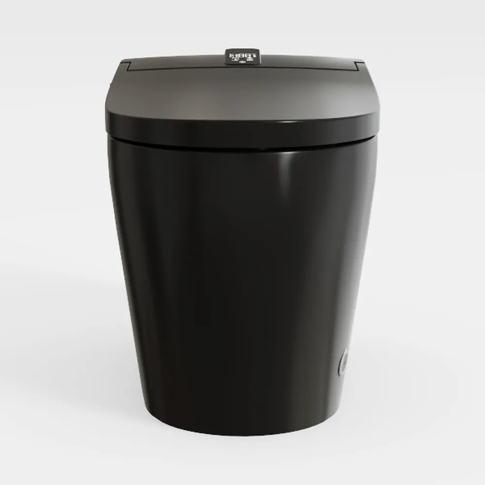 WinZo Smart Toilet,Modern Smart Toilet with Bidet