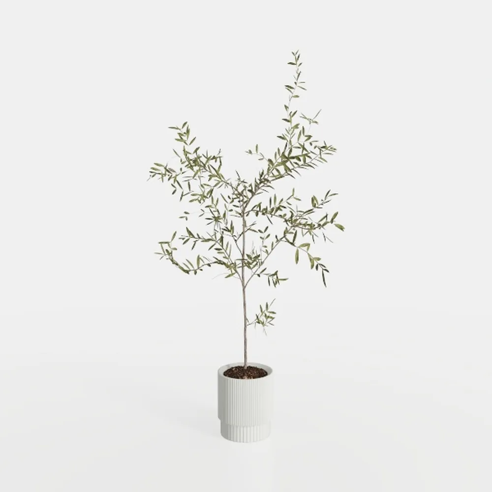 Artificial Mahonia fortunei Tree,6ft Tall Fake