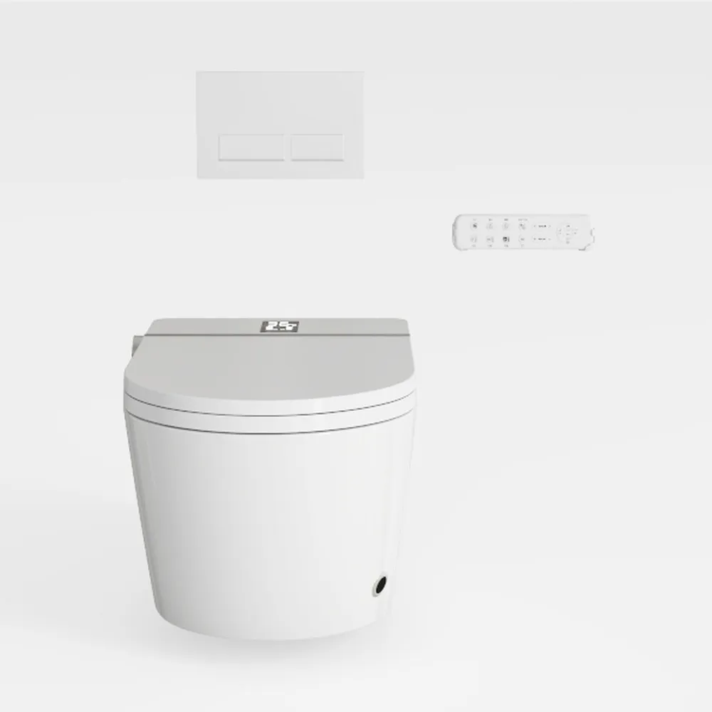 Wall Hung Toilet, Modern Wall Mounted Toilets with
