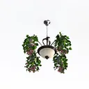 null Right 45 Degree View