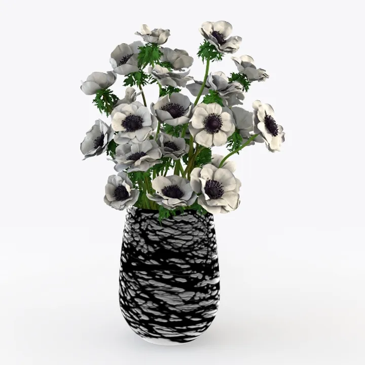 BubbleBlooms White Hypoestes Phyllostachya in a 
