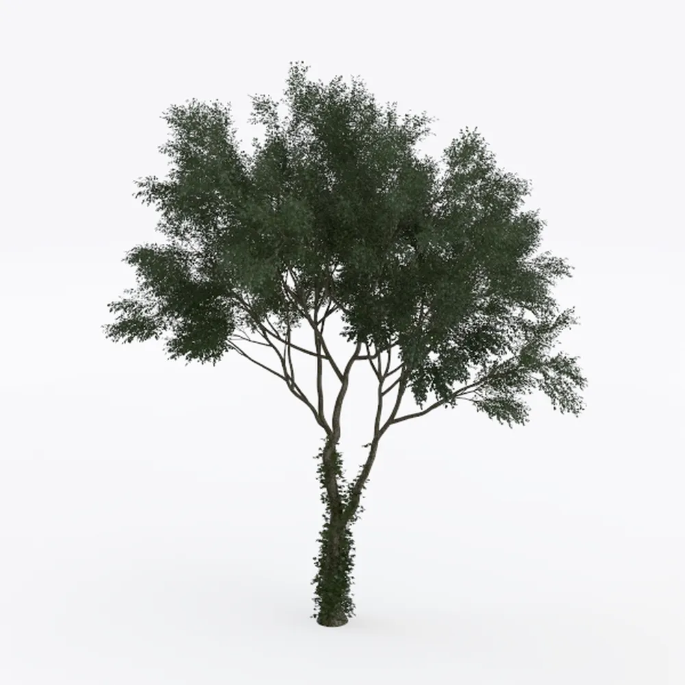 Faux Olive Tree 8ft (96") - 8ft Tall Fake Olive