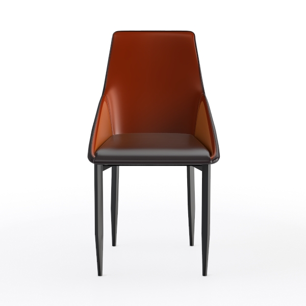 KAMPCO Set of 2 Faux Leather Dining Chairs, Modern