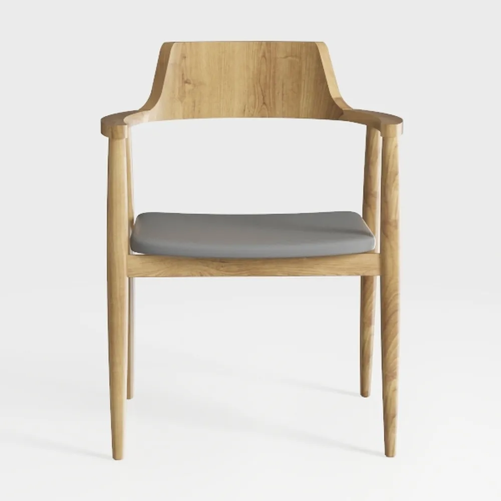 LITFAD Modern 2 Pieces Dining Chairs Solid Wood