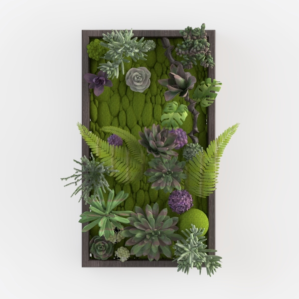 Flowers _ succulents art frame Green plant I-99