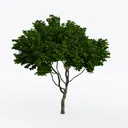 Artificial Topiary Trees,17.7 Inch Artificial  Left 45 Degree View