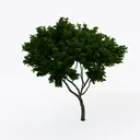 Artificial Topiary Trees,17.7 Inch Artificial  Right 45 Degree View