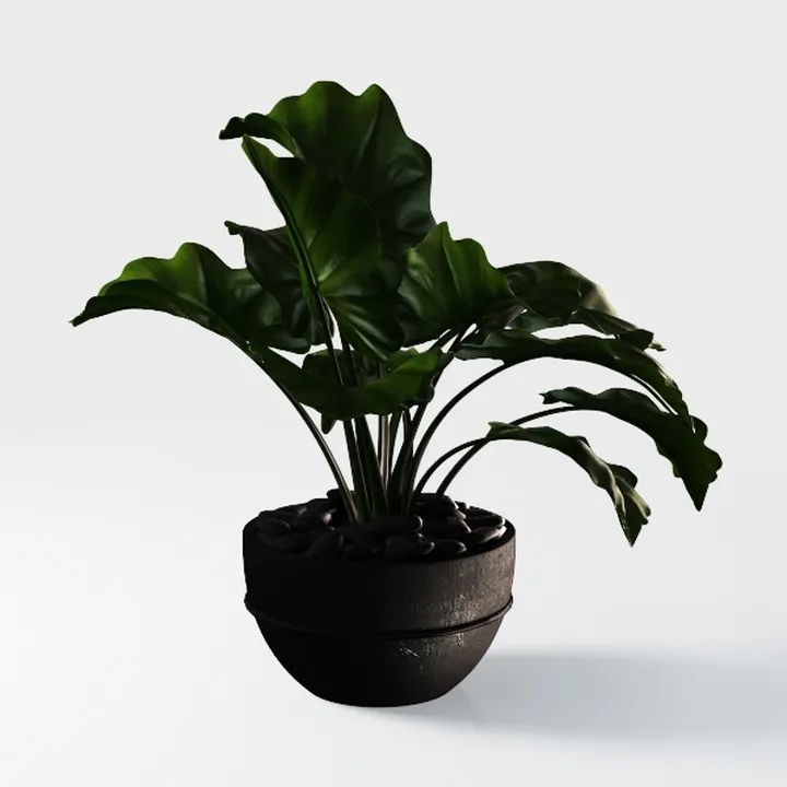 Minimalist Modern Potted Green Plant Decor 3D Model